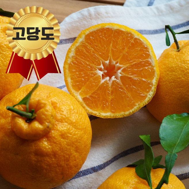 [품절임박] 초특가 고당도 제주 한라봉, 1박스, 3kg