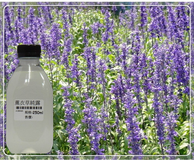 愛皂香耕園 薰衣草純露, 1個, 500ml