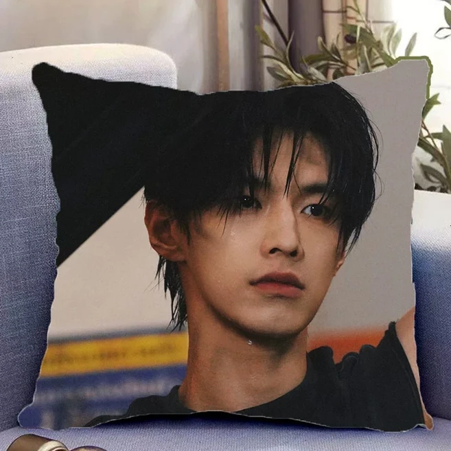 쌍궤 하여 진자오 쿠션 베개 수면아이템 굿즈 중국배우, 옵션21 - 쿠팡