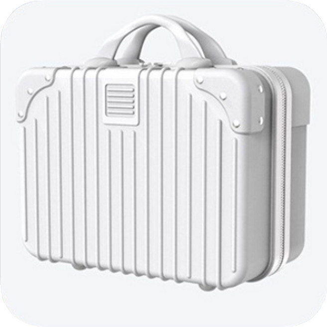 체리스팟 14인치 여행용 미니 캐리어 서머 레디백 미니백 여행 가방