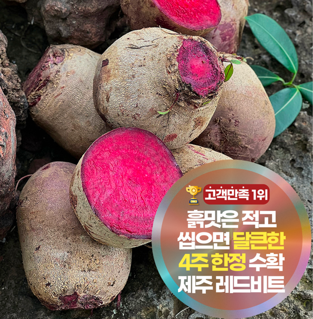 삼시세끼연구소 4주한정 흙맛적고 달큰한 햇 제주 비트 햇비트, 1박스, 10kg
