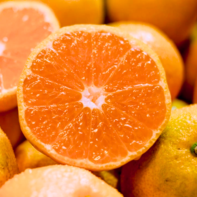 [재구매1위] 산지직송 15브릭스 초고당도 제주카라향, 1세트, 5KG