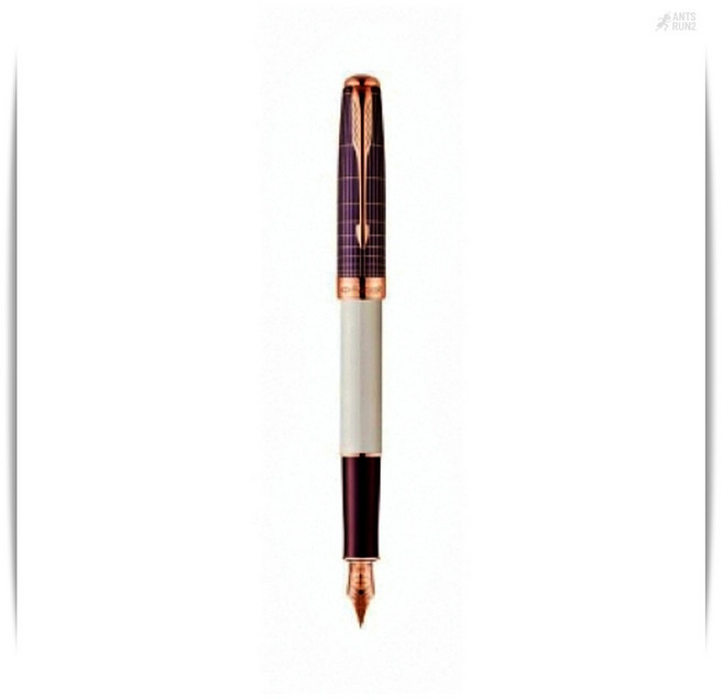 파카 만년필 뉴소네트 커스텀퍼플 F촉 세련된필사전용 앤츠런2