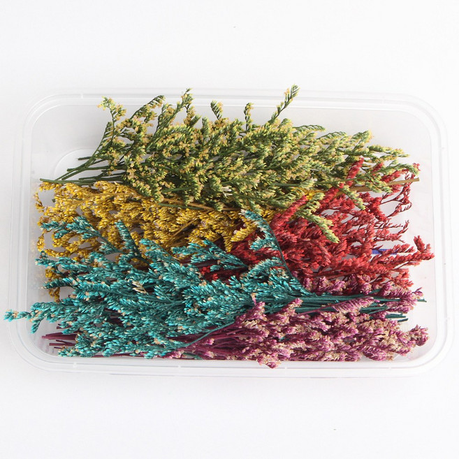 화연양화 프리저브드 드라이플라워 꽃세트 12종 수공예 DIY, 04 미스티블루 컬러 믹스