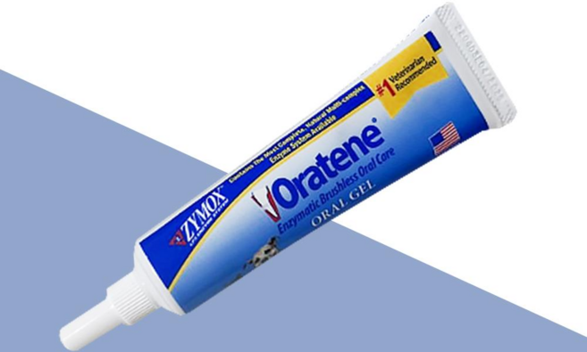 자이목스 오라틴 안티셉틱 반려동물 젤, 28g, 1개