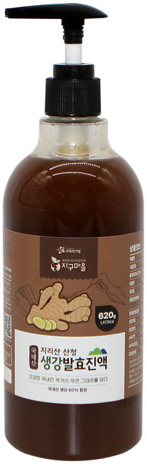 지구마을 국내산 지리산 산청 생강차 생강발효진액, 620g, 1개