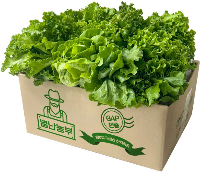 별난농부 산지직송 신선한 쌈채소, 1개, 1kg