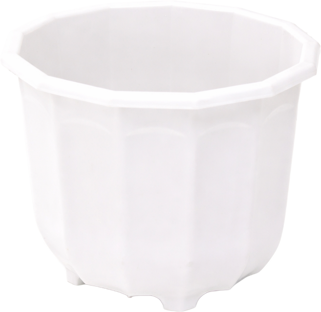 모던레시피 12각 플라스틱 화분, 1개, 화이트