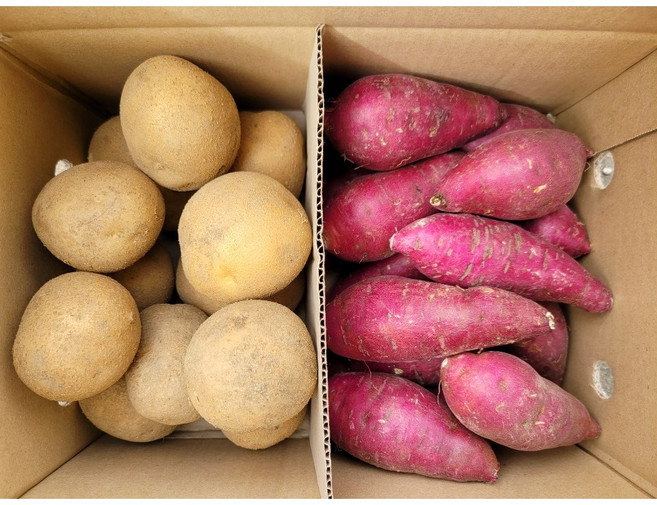 [푸드팜] 농산물, 감자 1.5kg + 꿀고구마 1.5kg, 1개