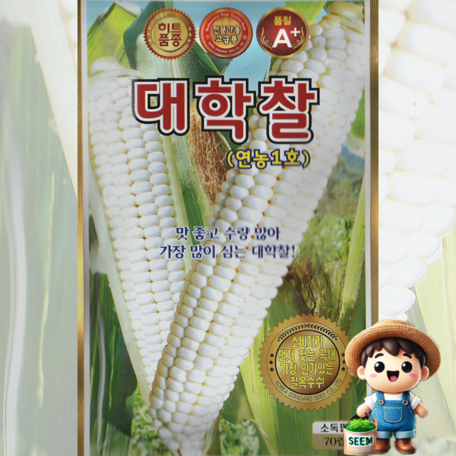 KS종묘 대학찰 70립 연농1호 고급품종 찰옥수수 옥수수 채소 씨앗 종자 KS, 1개