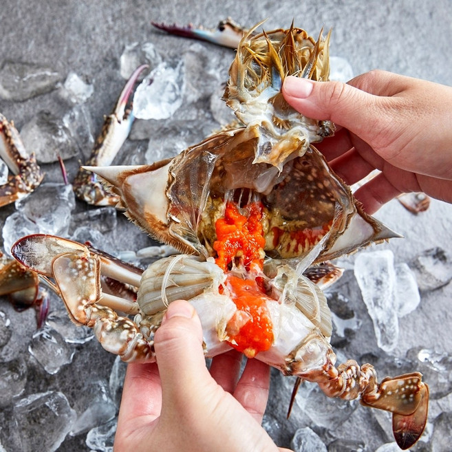 국산 연평도 꽃게 활 알배기 봄 암꽃게 3미 1kg, 1개