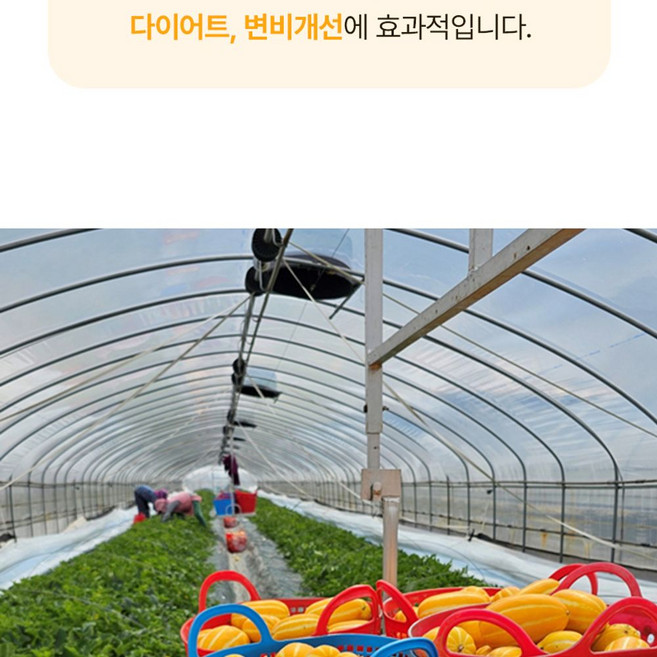 (박스포함) 성주 참외 소과 (12-18과 내외) 3kg, 1개, 단일