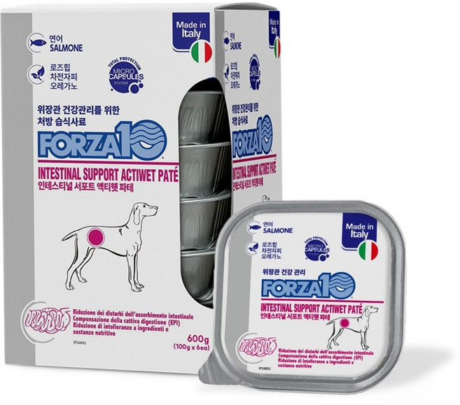 포르자10 독 인테스티널 주식캔 6입, 6개, 600g, 연어