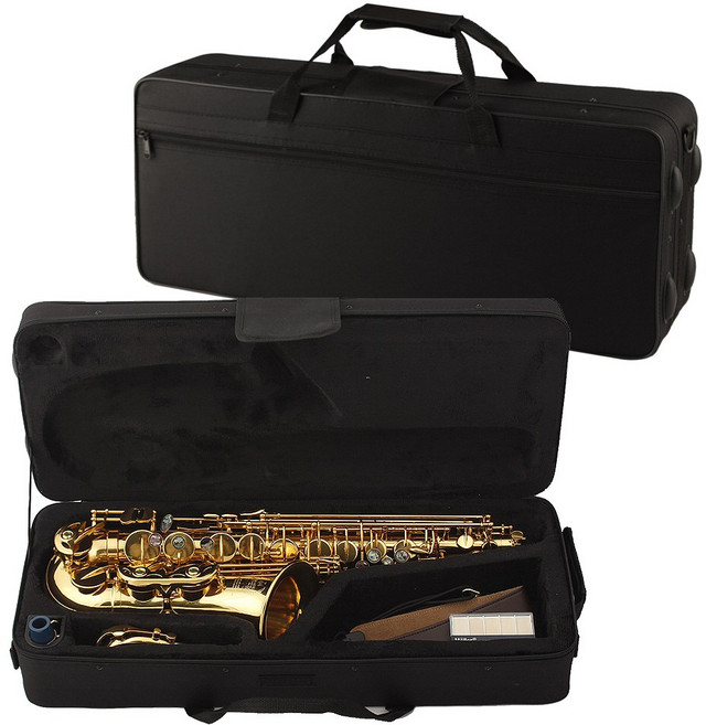 EVA 색소폰 케이스 알토 가방 경량, 1개