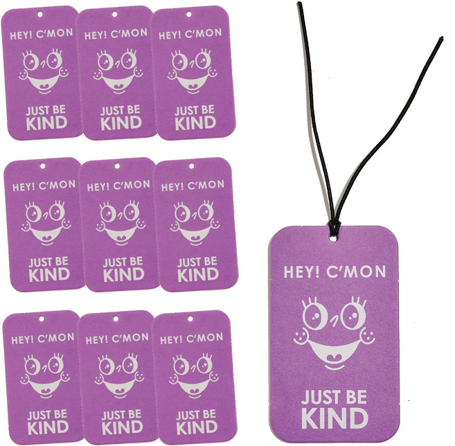 스탠 퍼퓸 종이방향제 차량용 실내 방향제 10P (바이올렛 향), 7g, 10개, 바이올렛향