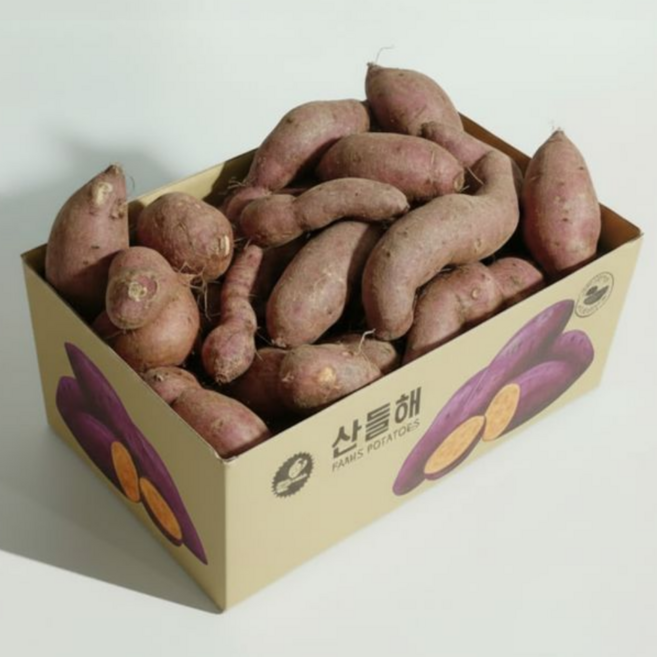 산들해 못난이 해남 고구마 꿀고구마 호박고구마, 1개, 10kg