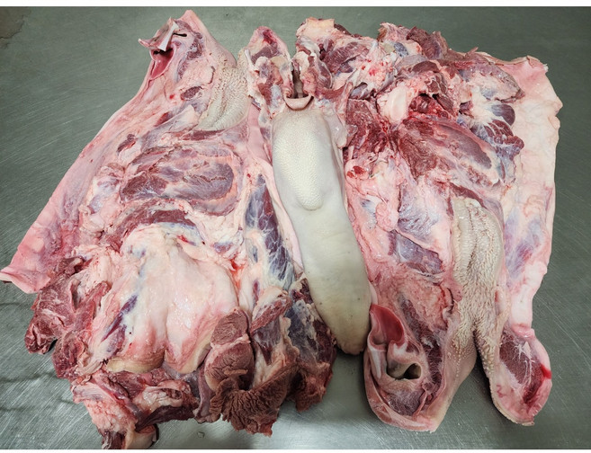 [창조축산유통]한우 소머리(암소 거세) 반마리/한마리 (우설포함), 1개, 04_한우 거세 한 마리(우설포함)