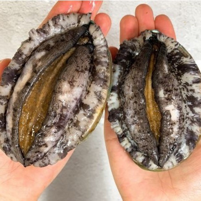 땅끝어부 활 전복 전복 1kg 산소포장 산지직송, 1박스, (특특대)7-8미