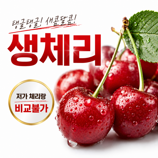 생체리 프리미엄 고당도 미국워싱턴 체리 신선과일, 1박스, 중대과 1kg(10.5R)