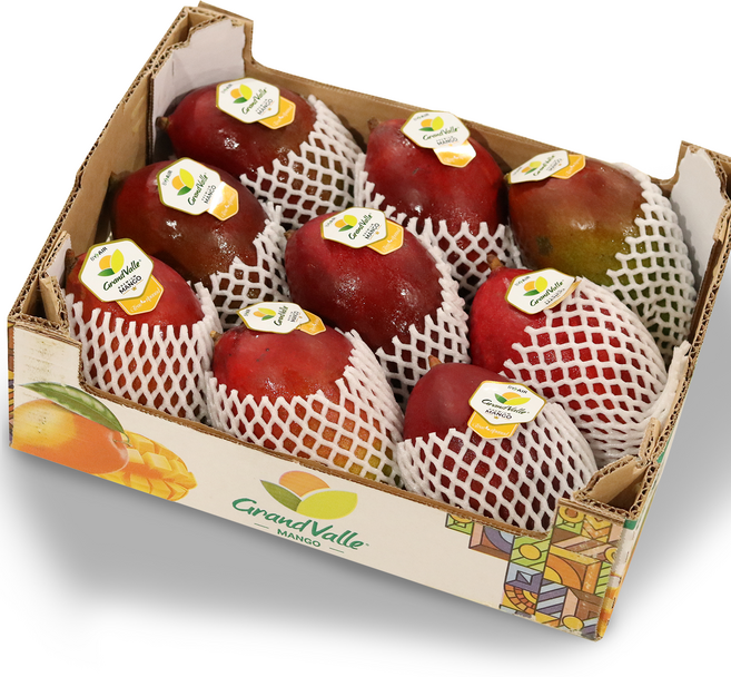 프리미엄 페루 애플망고 달콤한 망고 선물세트, 1박스, 애플망고 1kg내외 (2-3과)