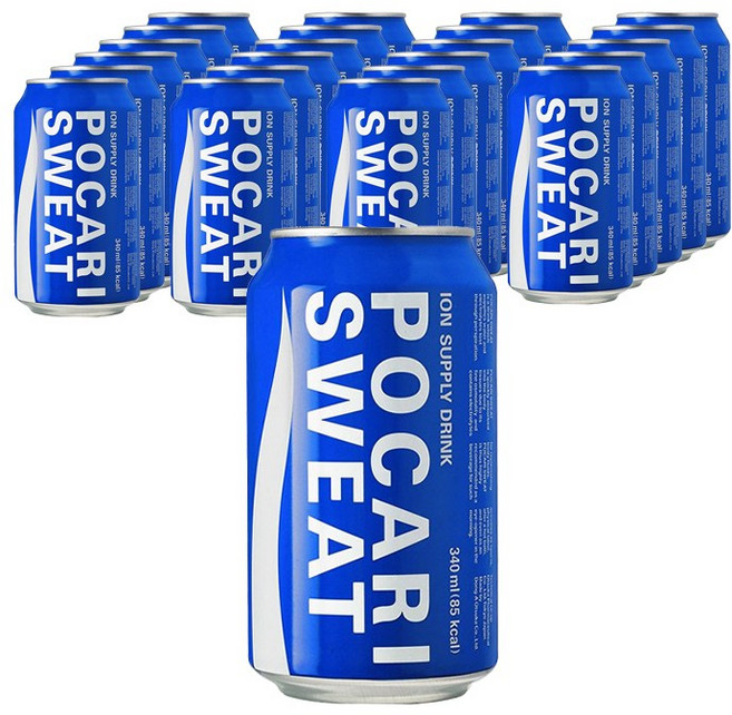 동아 포카리스웨트 340mlx24캔(1box)/이온음료/무배, 340ml, 24개