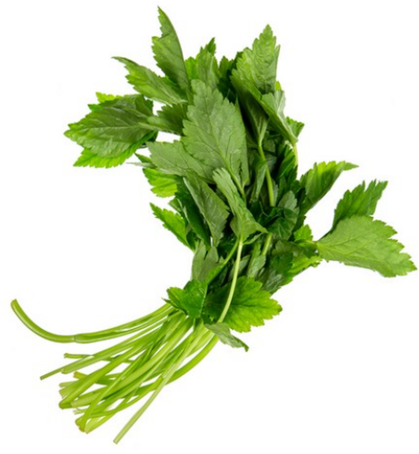 야채왕 참나물 2kg / 4kg(실중량3.8~4KG) 박스, 참나물2kg 무배, 1개