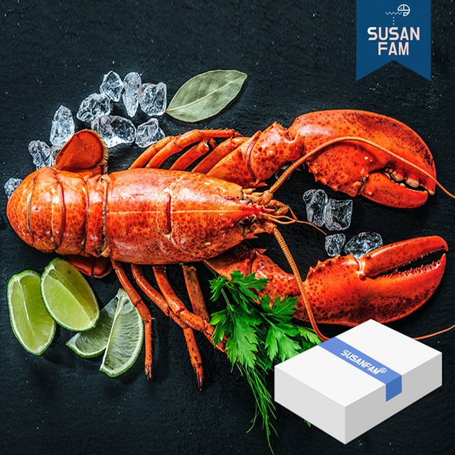 캐나다 프리미엄 자숙 랍스터 4.54kg 박스 바닷가재 랍스타 버터구이, 4.54kg 400-450사이즈 박스, 1박스