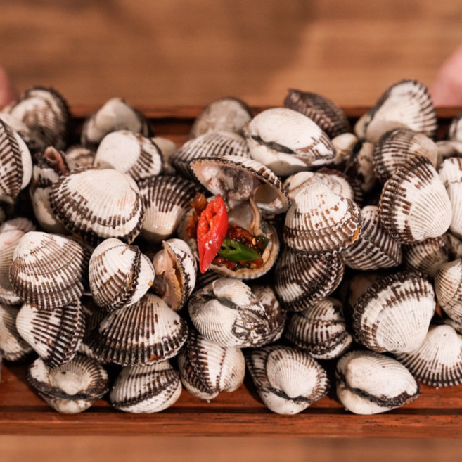 싱싱한 제철 벌교 꼬막, 1개, 상 5kg