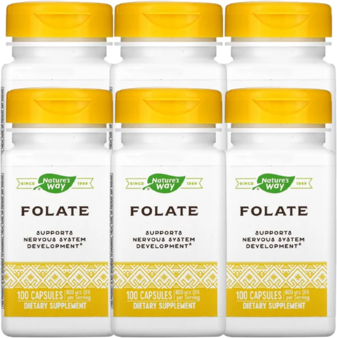 네이쳐스웨이 엽산 Folate 엽산800 mcg, 100정, 6개 - 쿠팡