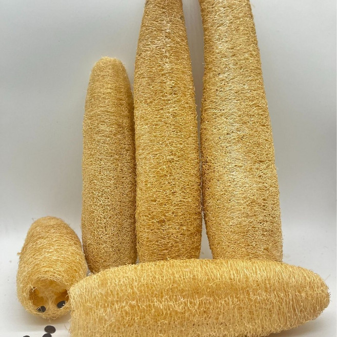 ibooooo 天然絲瓜絡洗碗刷, 整根直徑5cm以上*20 - 25cm, 1個