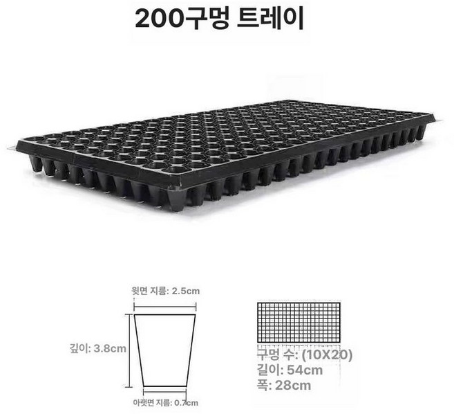 깊은 육묘 트레이 딸기 모종, 200구 약 150g 10장가격, 1개