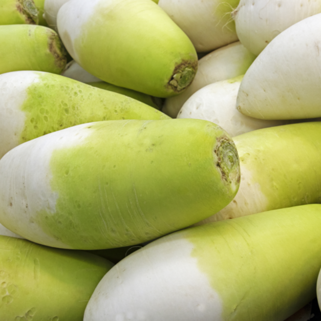 해풍 맞고 자란 노지 제주 월동무 (대용량) [원산지:국산(제주특별자치도)], 1개, 5kg