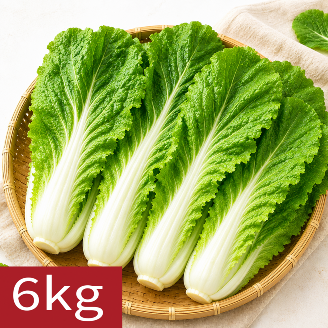 [여수시골농장] 산지직송 국내산 얼갈이배추 특품, 1개, 6kg