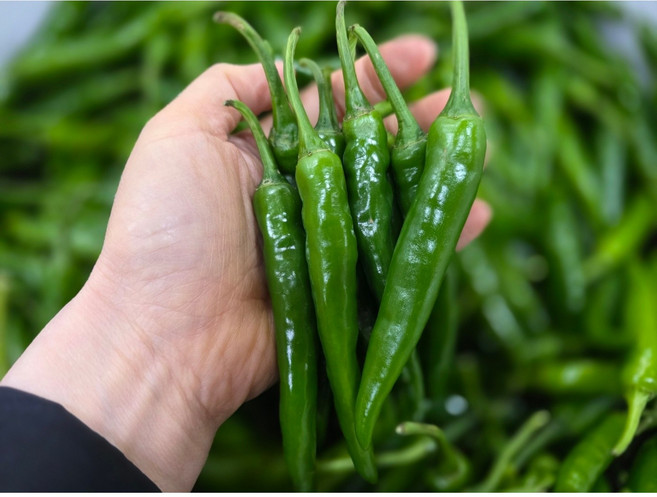 화랑농원 국내산 청양고추 못난이 B급, 1박스, 2kg