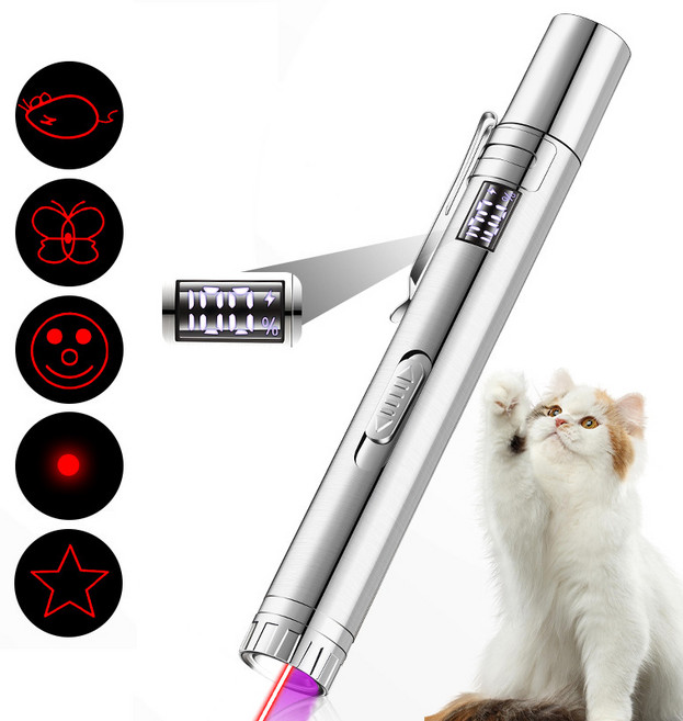 멀티 충전 빔 강한 포인터, 2개, 은색