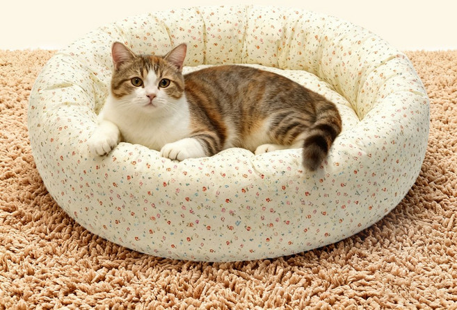 파스텔펫 반려동물 잔꽃 패턴 원형방석, 아이보리, 1개