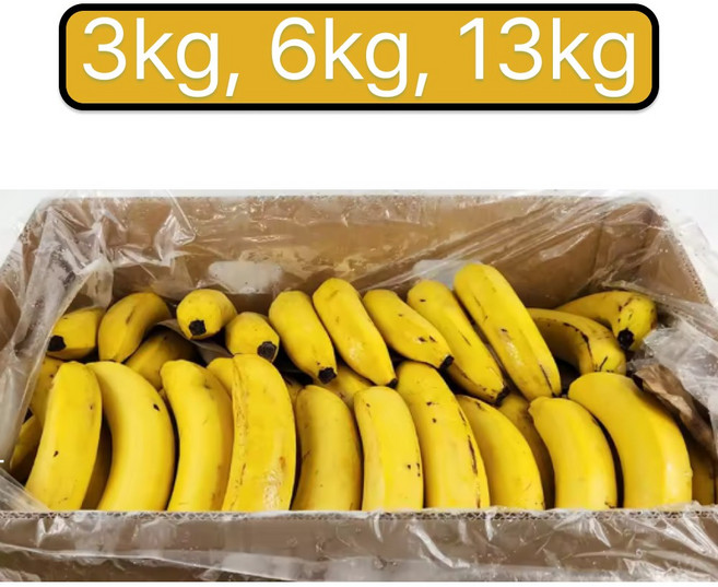 후숙된 실속형 낱밭 고당도 바나나 주스용, 13kg, 1개, 13kg