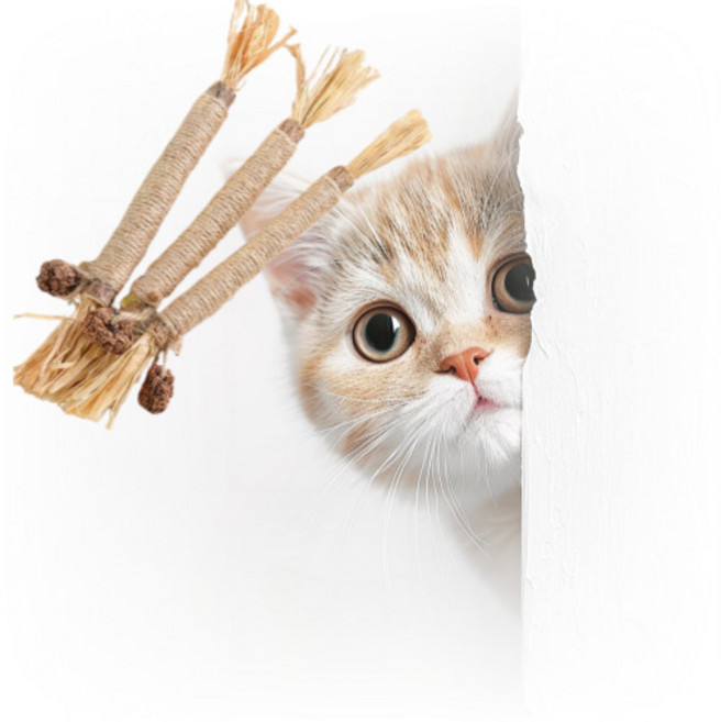 캣닢 사냥놀이 이갈이 삼줄 장난감 천연소재 놀이도구 치석제거, 1개, 브라운