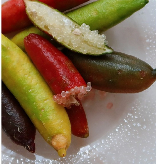 알이 톡톡 상큼한 국내산 핑거라임 캐비어라임, 2개, 냉동 500g