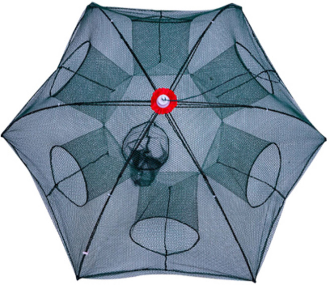 맥스메가다인 사각통발 6구 2p JT1956