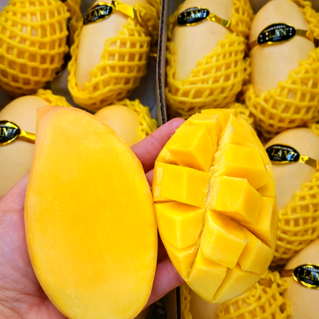 웅이과일 태국 골드망고 프리미엄 고당도, 1박스, 망고 5kg (10~16과)