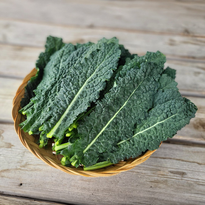 뉴그린 500g 국내산 쌈채소 토스카노 잎브로콜리, 1개