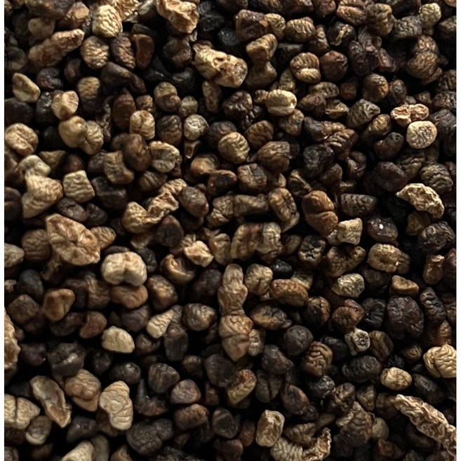 카다멈 씨드, 1개, 50g