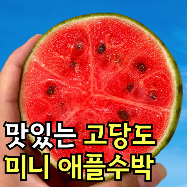 [50박스한정] 김재식농원 꿀즙뚝뚝 고당도 애플수박, 1박스, 2통