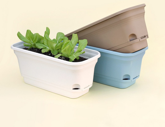 마이플랜트 이지팜 텃밭화분, 아이보리