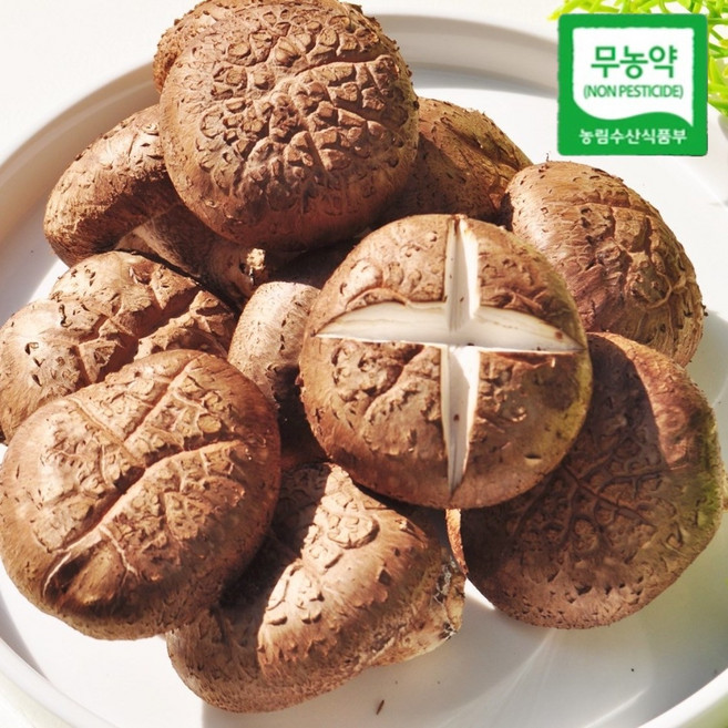 [재구매율 1위] 특품 무농약 장흥 생표고버섯 가정용, 1개, 2kg