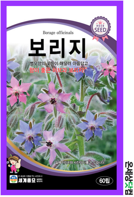 보리지 100g/ 허브씨앗 대용량 허브씨 허브키우기 베란다텃밭 보리지
