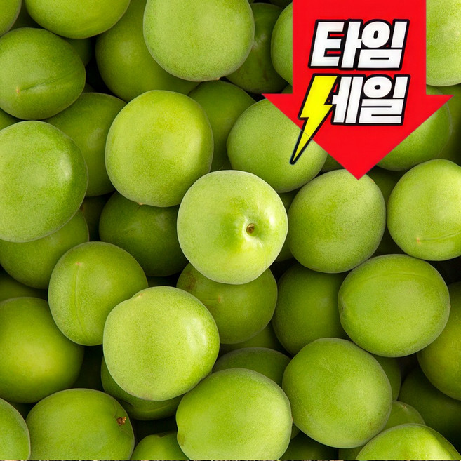 [200박스선출고] 초특가 산지직송 새콤달콤 청매실, 1개, 5kg 대