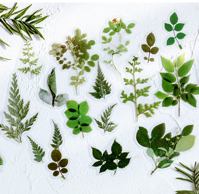 팬시온 PET 자연 스티커 다이어리꾸미기 다꾸 폰꾸 플라워스티커 폴꾸 탑꾸 데코 빈티지 스티커, 02.잎사귀