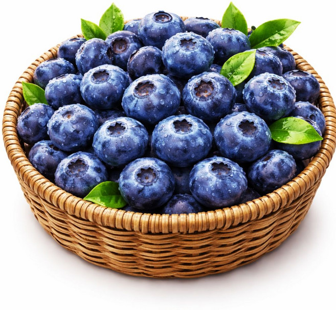 [재구매율1위] 국산 생 블루베리 고당도 선별 최상품 디아머스, 1개, 400g (특대과)